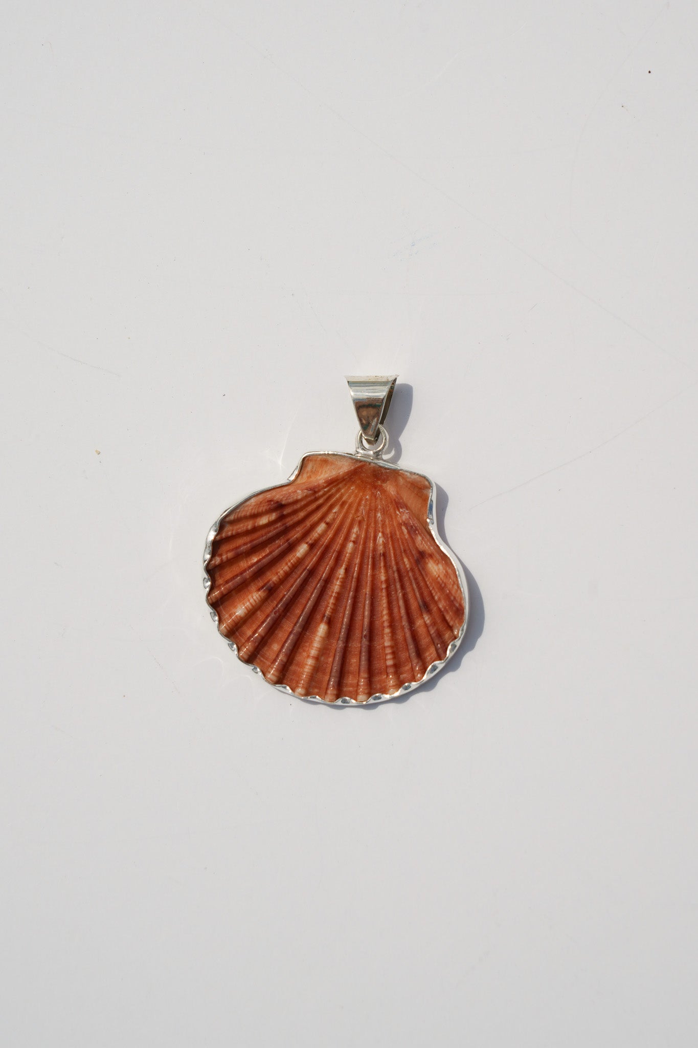 Shell Pendants