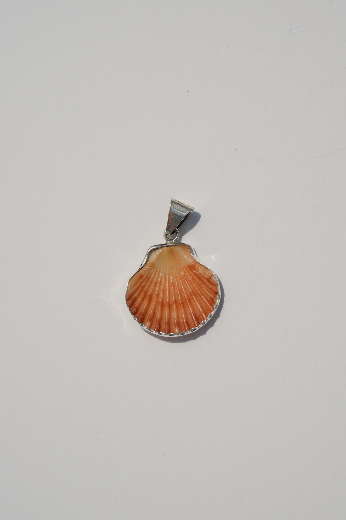 Shell Pendants