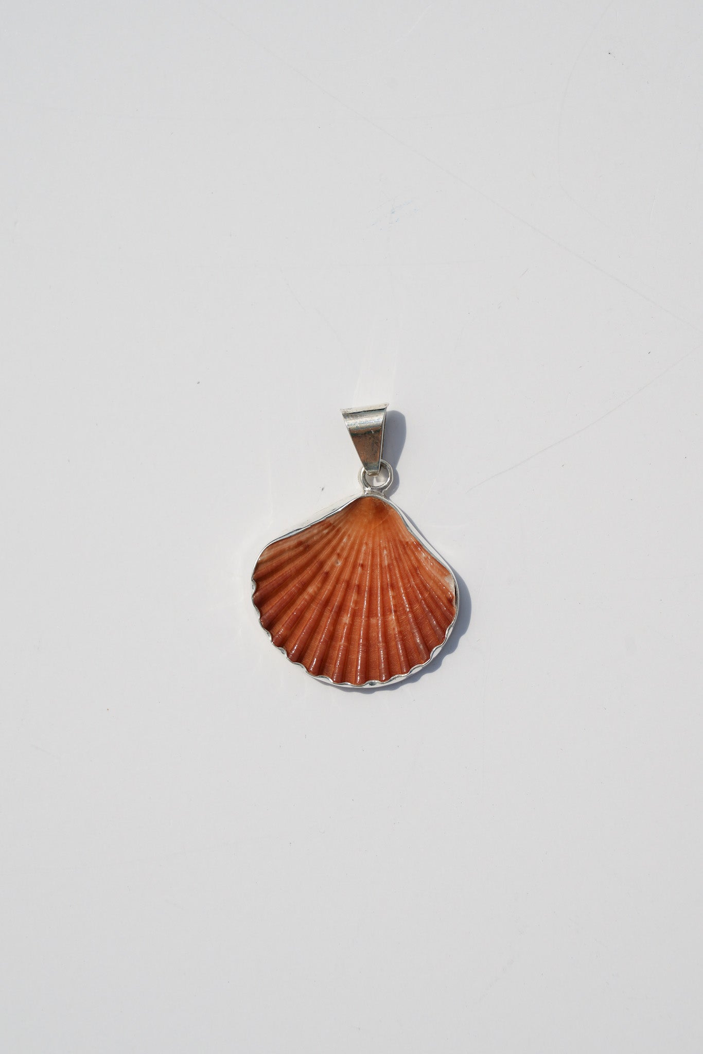 Shell Pendants