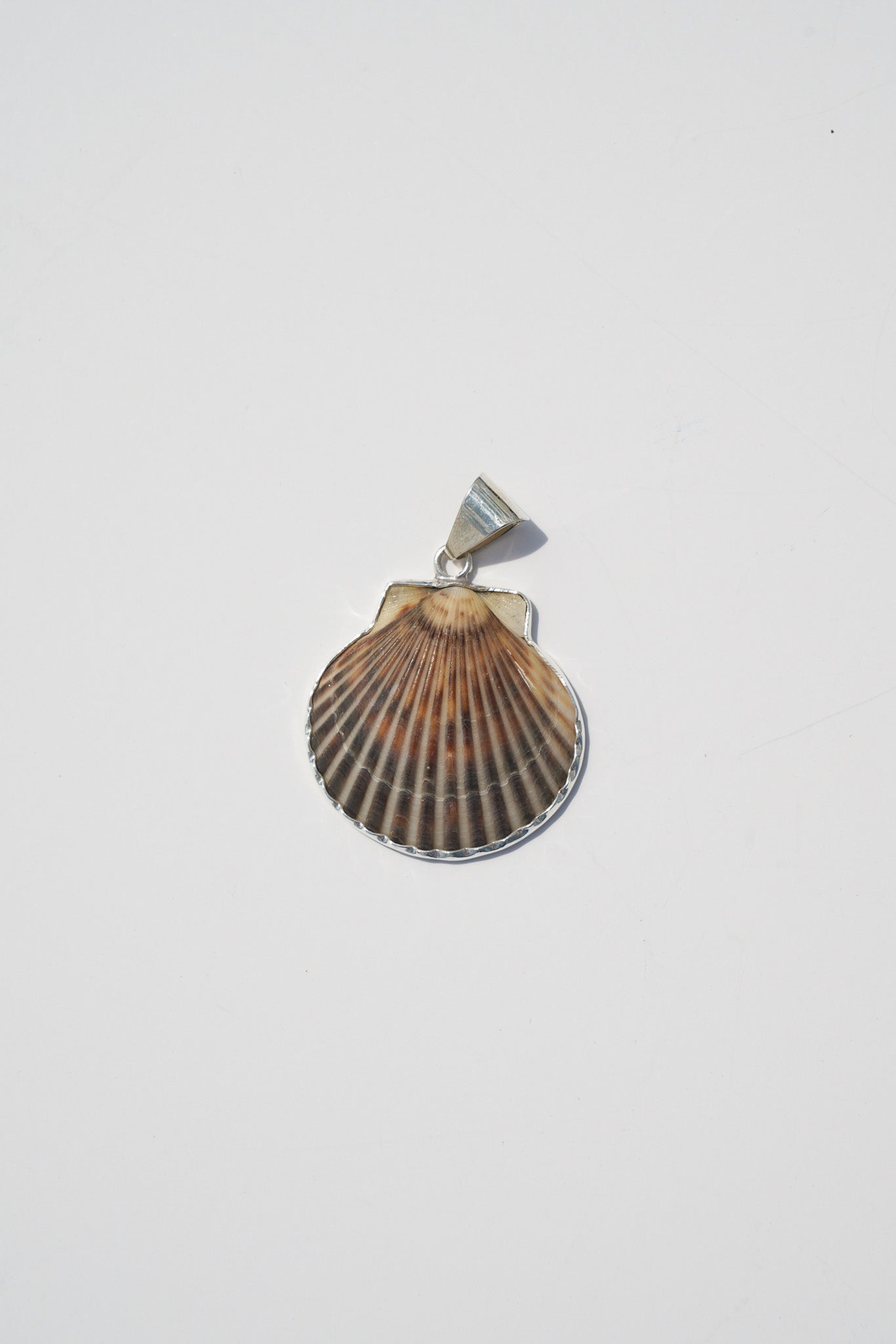 Shell Pendants