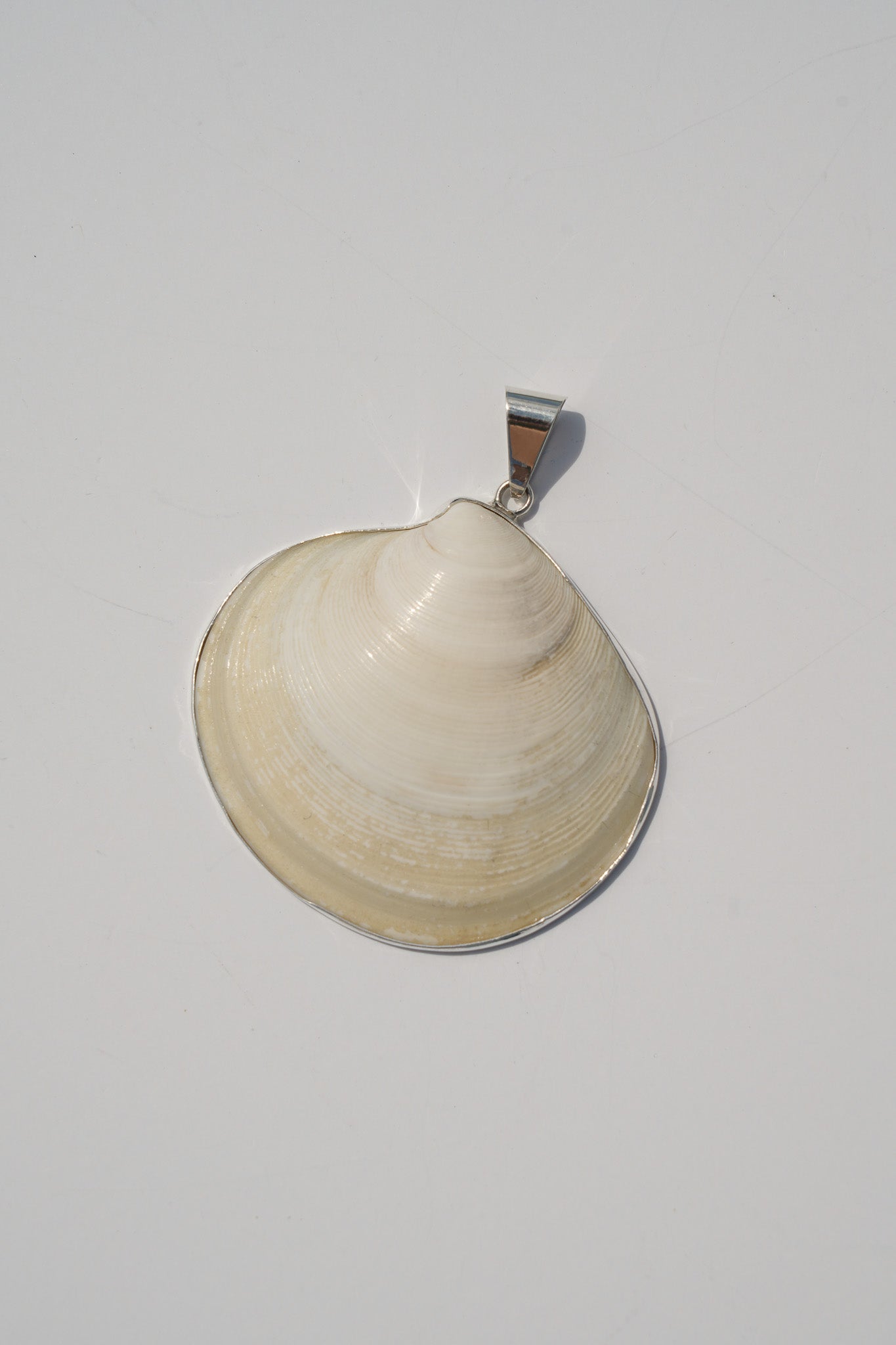 Shell Pendants