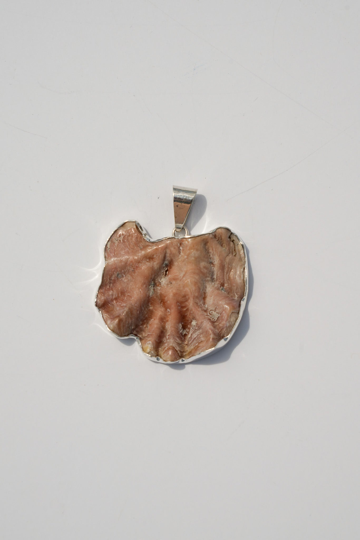 Shell Pendants