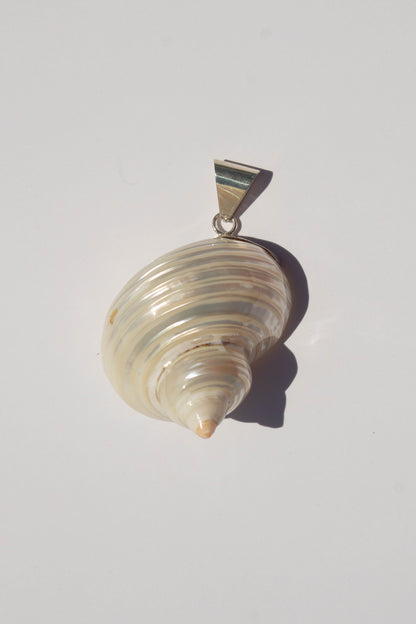 Conch Pendant