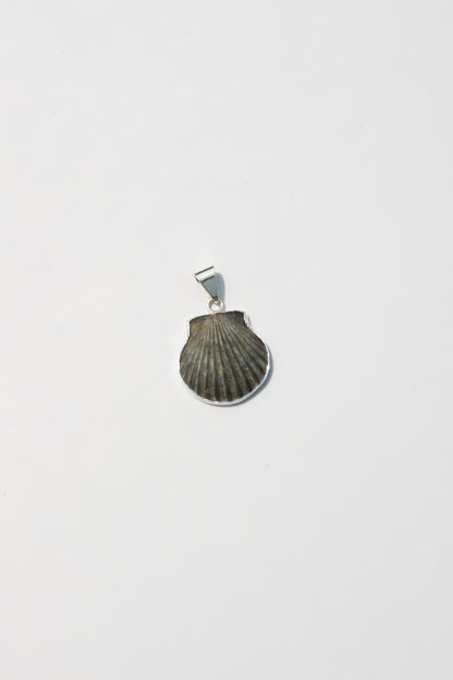 XS Shell Pendants