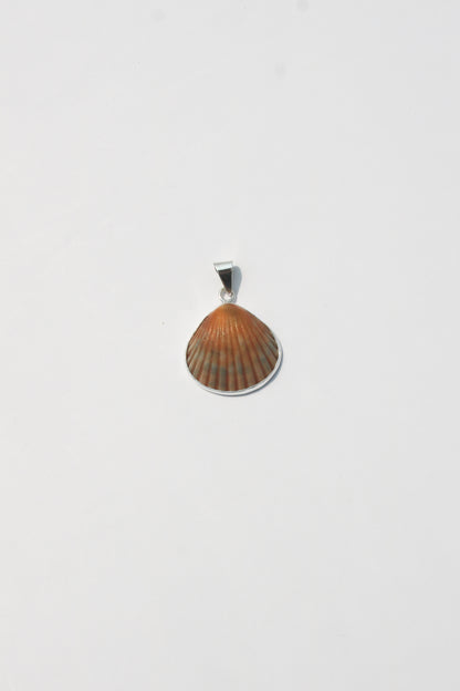 XS Shell Pendants