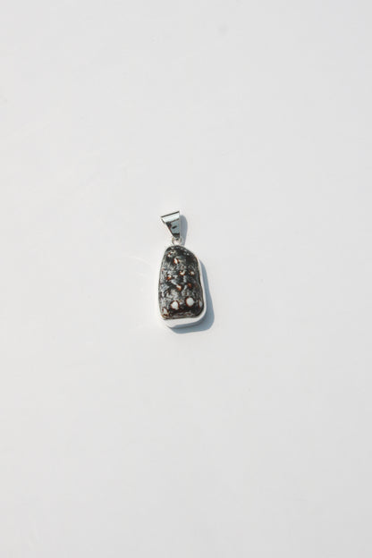 XS Shell Pendants