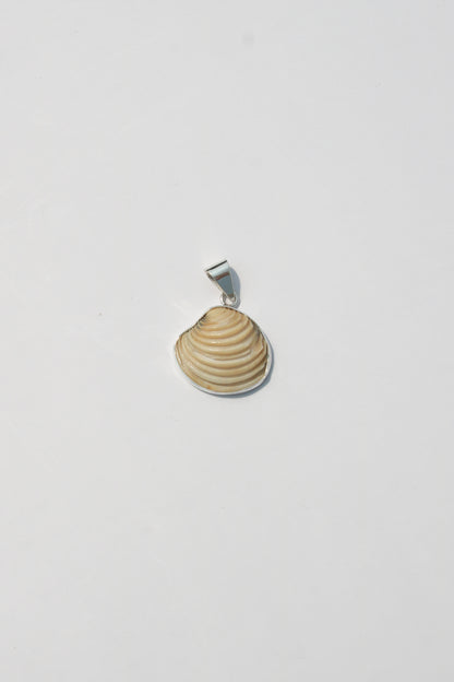 XS Shell Pendants