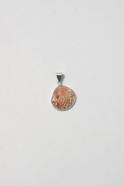 XS Shell Pendants