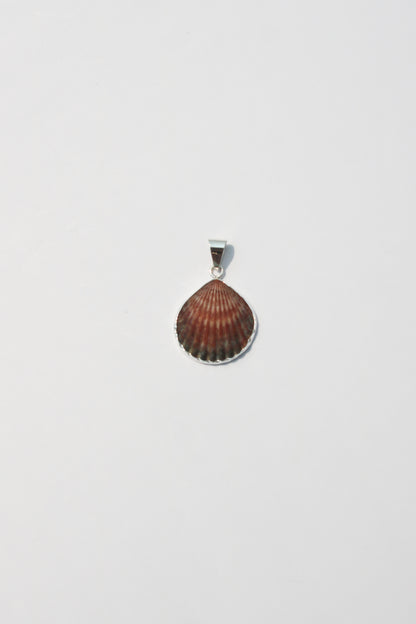 XS Shell Pendants