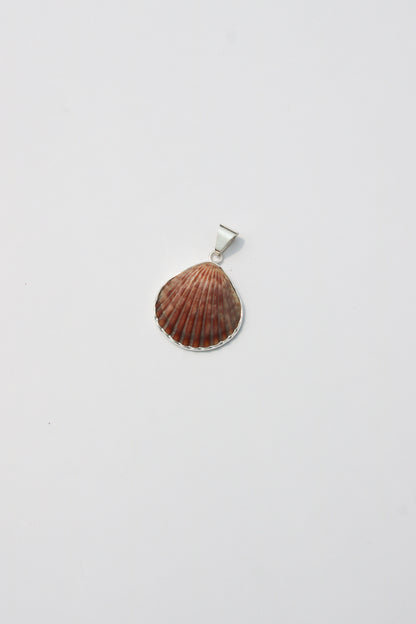 XS Shell Pendants
