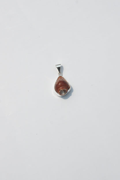 XS Shell Pendants