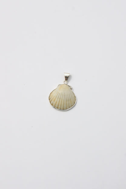XS Shell Pendants