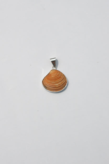 XS Shell Pendants