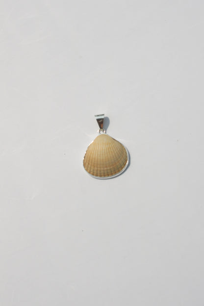 XS Shell Pendants
