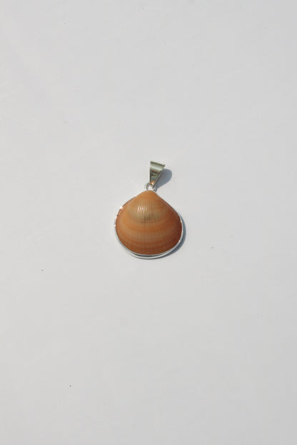 XS Shell Pendants