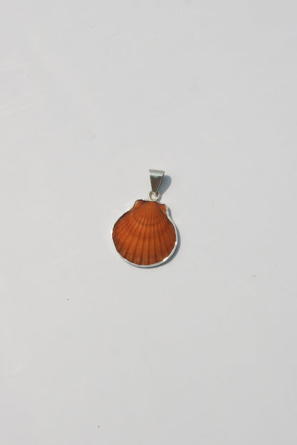 XS Shell Pendants