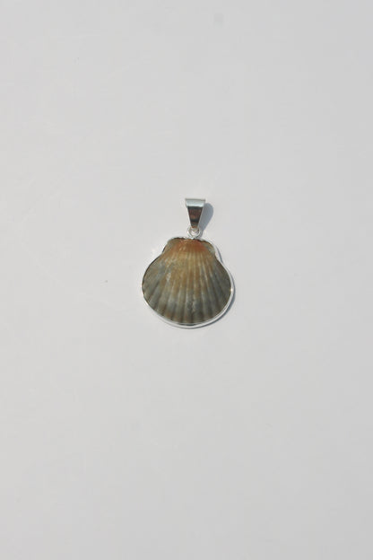 XS Shell Pendants