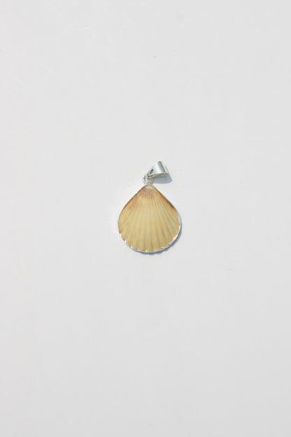 XS Shell Pendants