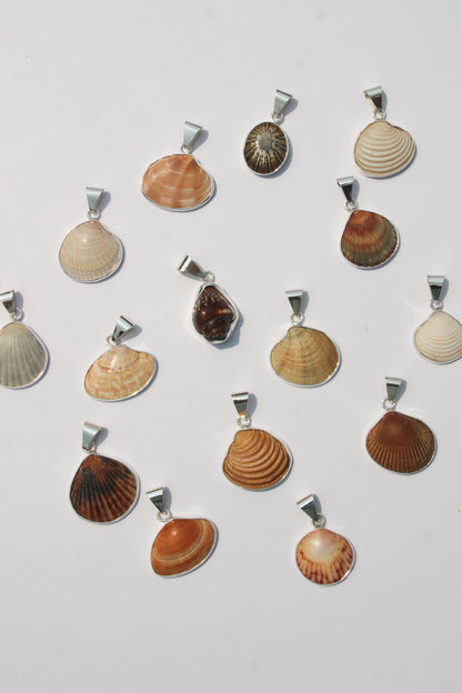 XS Shell Pendants