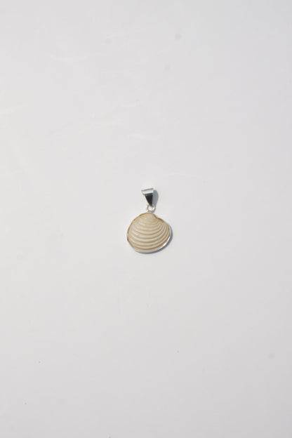 XS Shell Pendants