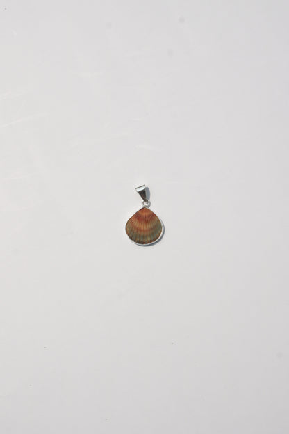 XS Shell Pendants
