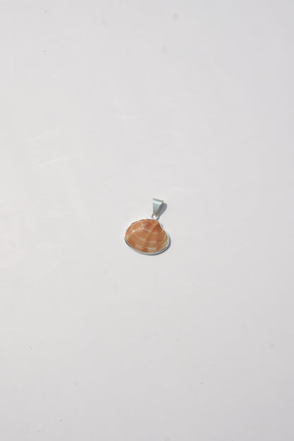 XS Shell Pendants
