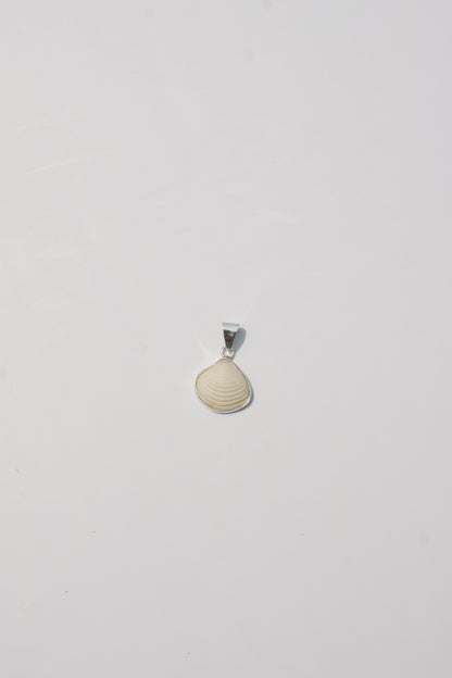 XS Shell Pendants