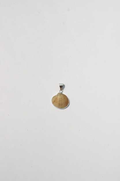 XS Shell Pendants