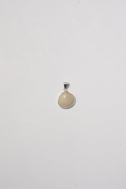 XS Shell Pendants