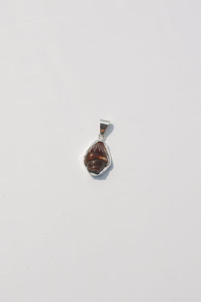 XS Shell Pendants