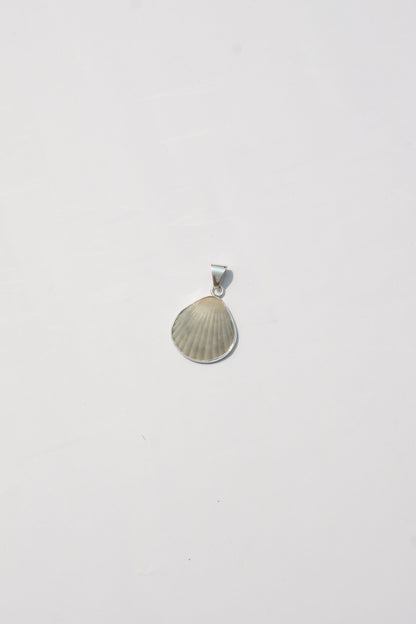 XS Shell Pendants