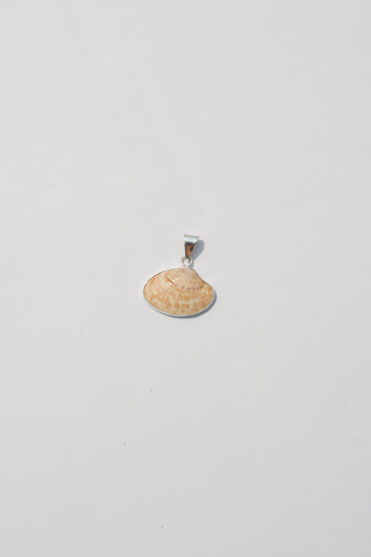 XS Shell Pendants