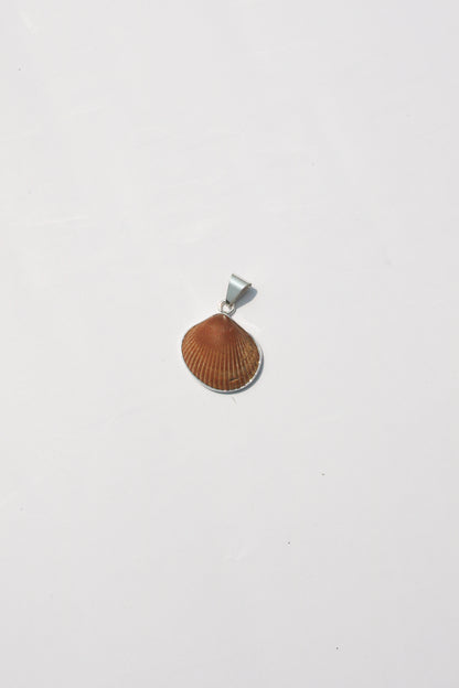 XS Shell Pendants