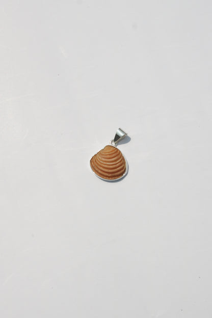XS Shell Pendants