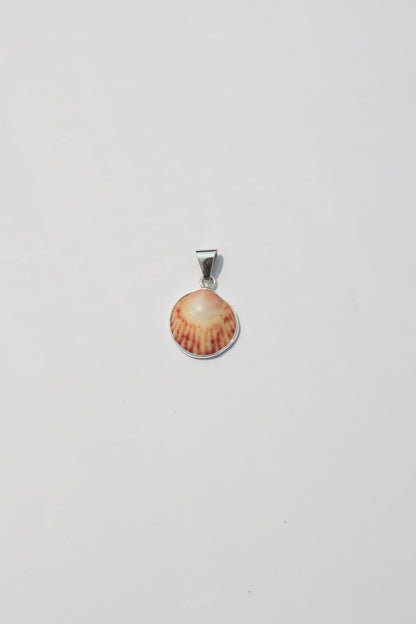 XS Shell Pendants