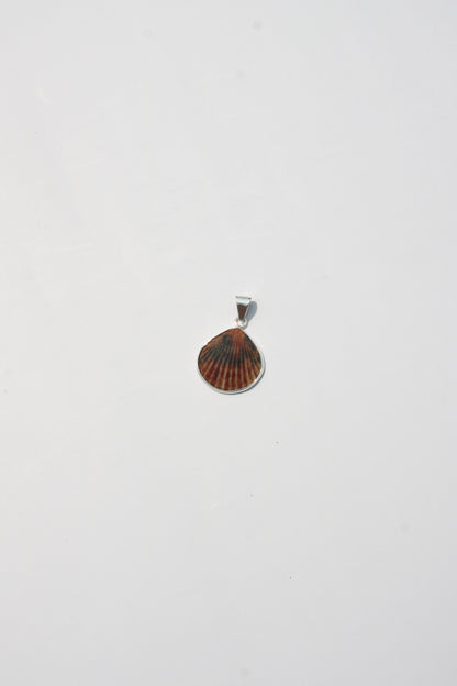 XS Shell Pendants
