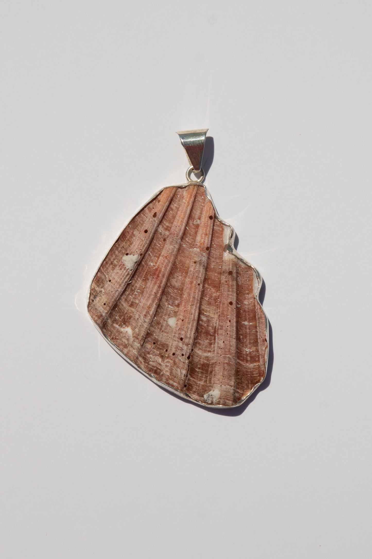 Shell Pendants