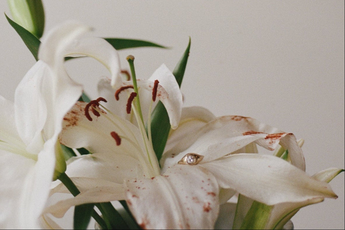 White lilies in a vase against a plain background